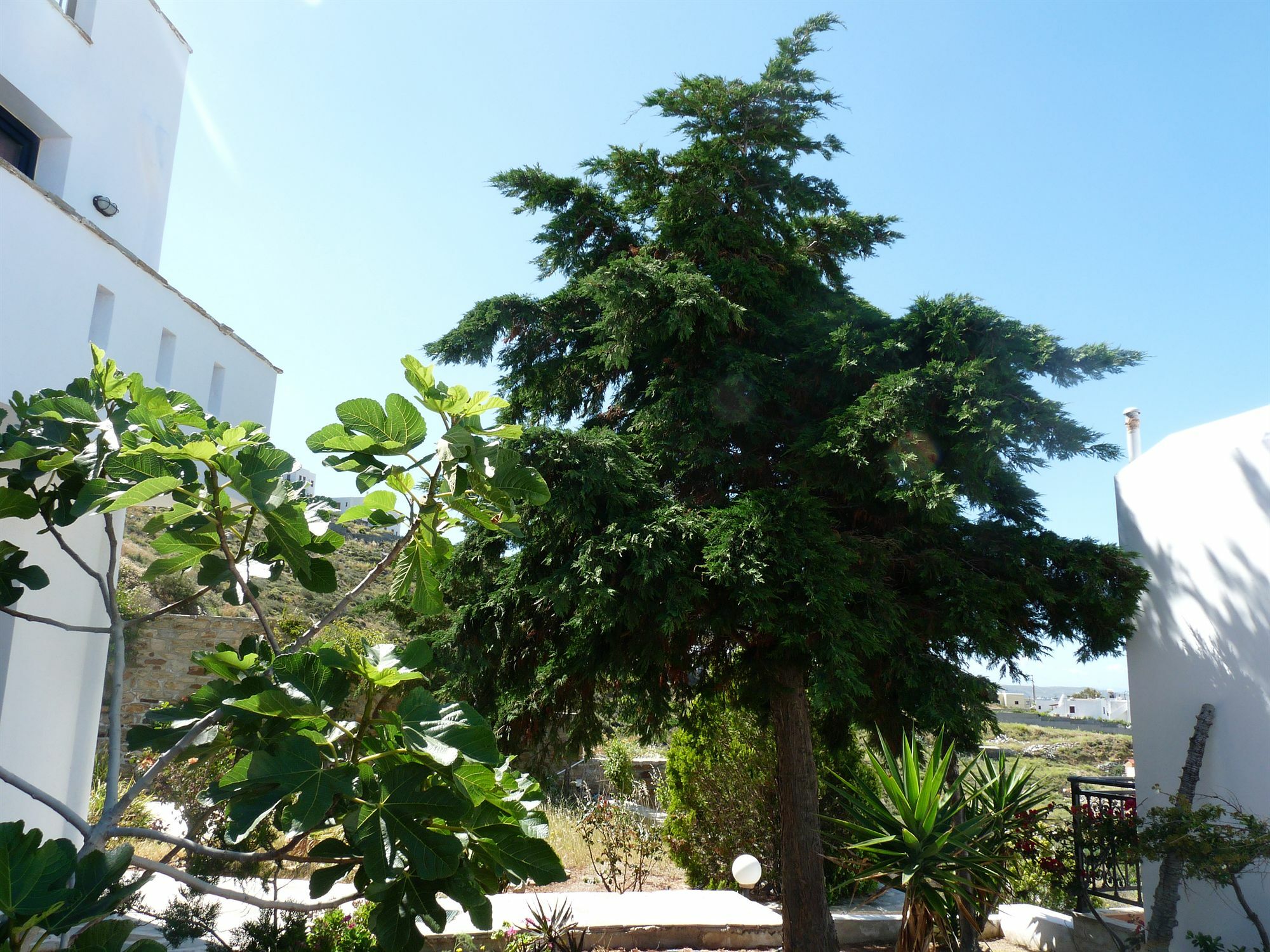 Paradisia Villas Naxos City Eksteriør bilde